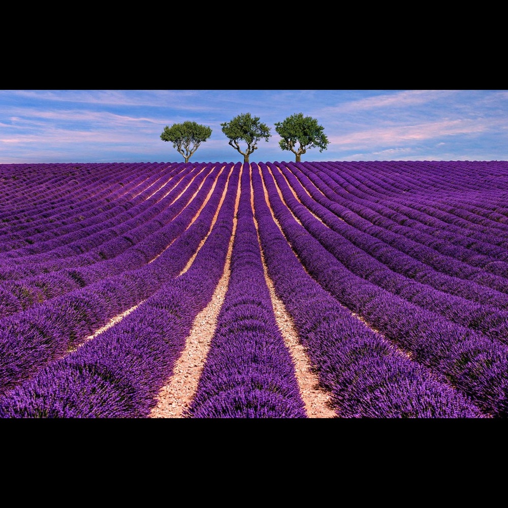 Meet your Posher, Teryn